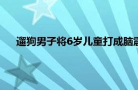 遛狗男子将6岁儿童打成脑震荡被刑拘具体详细内容是什么