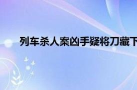 列车杀人案凶手疑将刀藏下腹过安检具体详细内容是什么