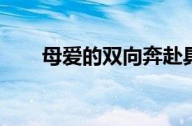 母爱的双向奔赴具体详细内容是什么