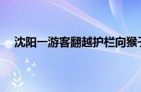 沈阳一游客翻越护栏向猴子吐口水具体详细内容是什么