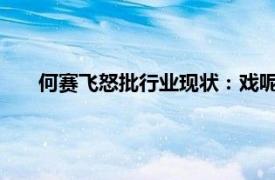 何赛飞怒批行业现状：戏呢？钱呢？具体详细内容是什么