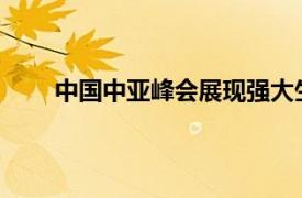 中国中亚峰会展现强大生命力具体详细内容是什么