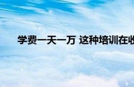 学费一天一万 这种培训在收割打工人具体详细内容是什么