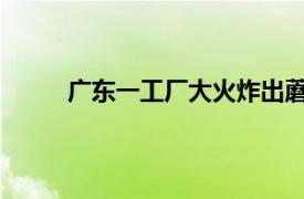 广东一工厂大火炸出蘑菇云具体详细内容是什么