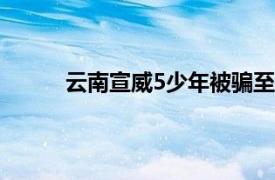 云南宣威5少年被骗至缅甸具体详细内容是什么