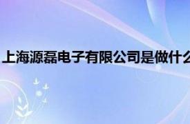 上海源磊电子有限公司是做什么的（源磊科技相关内容简介介绍）