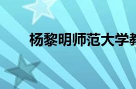 杨黎明师范大学教育学院副教授简介