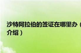 沙特阿拉伯的签证在哪里办（沙特阿拉伯商务签证相关内容简介介绍）