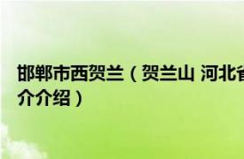 邯郸市西贺兰（贺兰山 河北省邯郸市冀南新区贺兰山相关内容简介介绍）