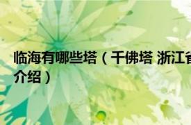 临海有哪些塔（千佛塔 浙江省台州市临海市千佛塔相关内容简介介绍）