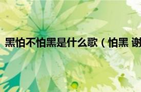 黑怕不怕黑是什么歌（怕黑 谢霆锋演唱歌曲相关内容简介介绍）