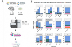 小儿脑肿瘤开放分析平台为儿童癌症研究提供了强大的数据资源