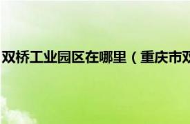 双桥工业园区在哪里（重庆市双桥区工业园区相关内容简介介绍）