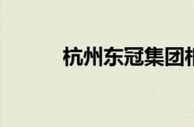 杭州东冠集团相关内容简介介绍