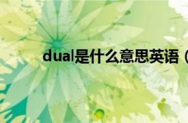 dual是什么意思英语（dual是什么意思车上的）