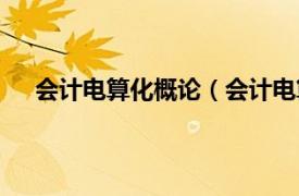 会计电算化概论（会计电算化专业相关内容简介介绍）