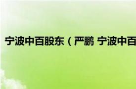 宁波中百股东（严鹏 宁波中百副董事长董事相关内容简介介绍）