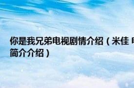 你是我兄弟电视剧情介绍（米佳 电视剧我要和你做兄弟中的角色相关内容简介介绍）