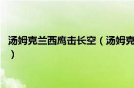 汤姆克兰西鹰击长空（汤姆克兰西：鹰击长空2相关内容简介介绍）