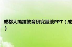 成都大熊猫繁育研究基地PPT（成都大熊猫繁育研究基地相关内容简介介绍）