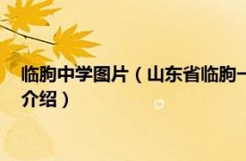 临朐中学图片（山东省临朐一中学校志19521992相关内容简介介绍）