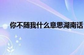 你不随我什么意思湖南话（你不随我什么意思湖南话）