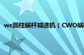 wc圆柱蜗杆减速机（CWO蜗轮蜗杆减速机相关内容简介介绍）