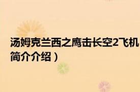 汤姆克兰西之鹰击长空2飞机（汤姆克兰西：鹰击长空2相关内容简介介绍）