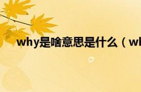 why是啥意思是什么（why是什么意思相关介绍简介）