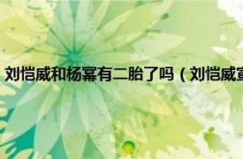 刘恺威和杨幂有二胎了吗（刘恺威宣布杨幂怀二胎是真的吗相关介绍简介）