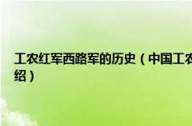 工农红军西路军的历史（中国工农红军西路军 文献卷上下相关内容简介介绍）