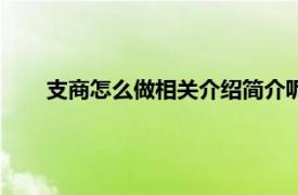 支商怎么做相关介绍简介呢（支商怎么做相关介绍简介）