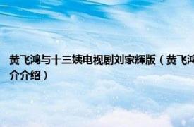 黄飞鸿与十三姨电视剧刘家辉版（黄飞鸿与十三姨 2005年刘家辉主演电视剧相关内容简介介绍）