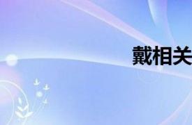 戴相关内容简介