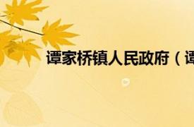 谭家桥镇人民政府（谭家桥相关内容简介介绍）