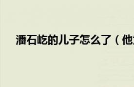 潘石屹的儿子怎么了（他为什么会那样相关介绍简介）