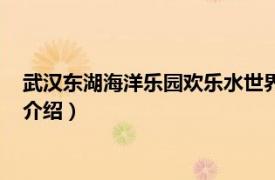 武汉东湖海洋乐园欢乐水世界（武汉东湖海洋乐园相关内容简介介绍）