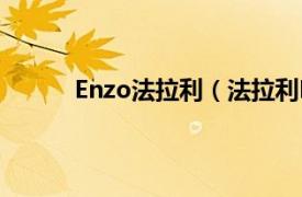 Enzo法拉利（法拉利Enzo相关内容简介介绍）