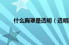 什么胸罩是透明（透明胸衣是什么相关介绍简介）