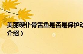 美丽硬仆骨舌鱼是否是保护动物（美丽硬仆骨舌鱼相关内容简介介绍）