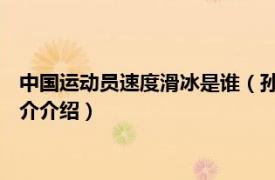 中国运动员速度滑冰是谁（孙楠 中国速度滑冰运动员相关内容简介介绍）