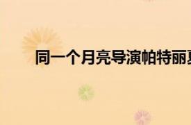 同一个月亮导演帕特丽夏里金的电影相关内容介绍