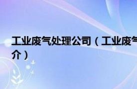 工业废气处理公司（工业废气治理的环保公司有哪些相关介绍简介）