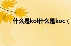 什么是kol什么是koc（什么是KOC相关介绍简介）