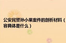 公安民警孙小果案件的剖析材料（公安干警回忆第一次审讯孙小果回忆的内容具体是什么）