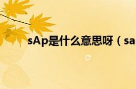 sAp是什么意思呀（sap里面putaway什么意思）