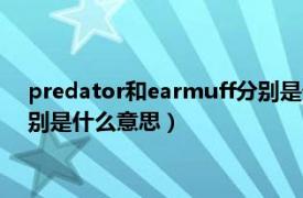 predator和earmuff分别是什么意思（predator和earmuff分别是什么意思）