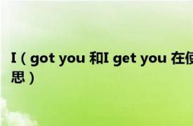 I（got you 和I get you 在使用上有什么区别呢 各自代表什么意思）