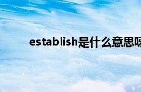 establish是什么意思呀（Establish是什么意思）