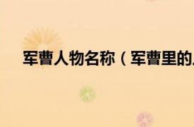 军曹人物名称（军曹里的几个小家伙分别叫什么名字）